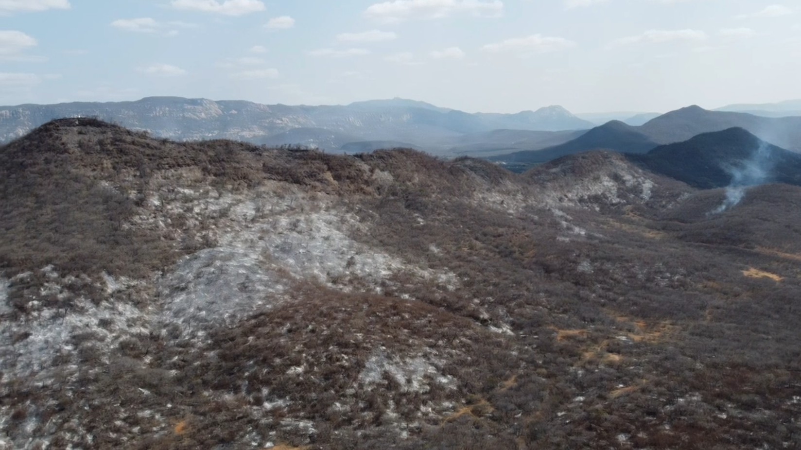 foto Notícia Boa Vista
