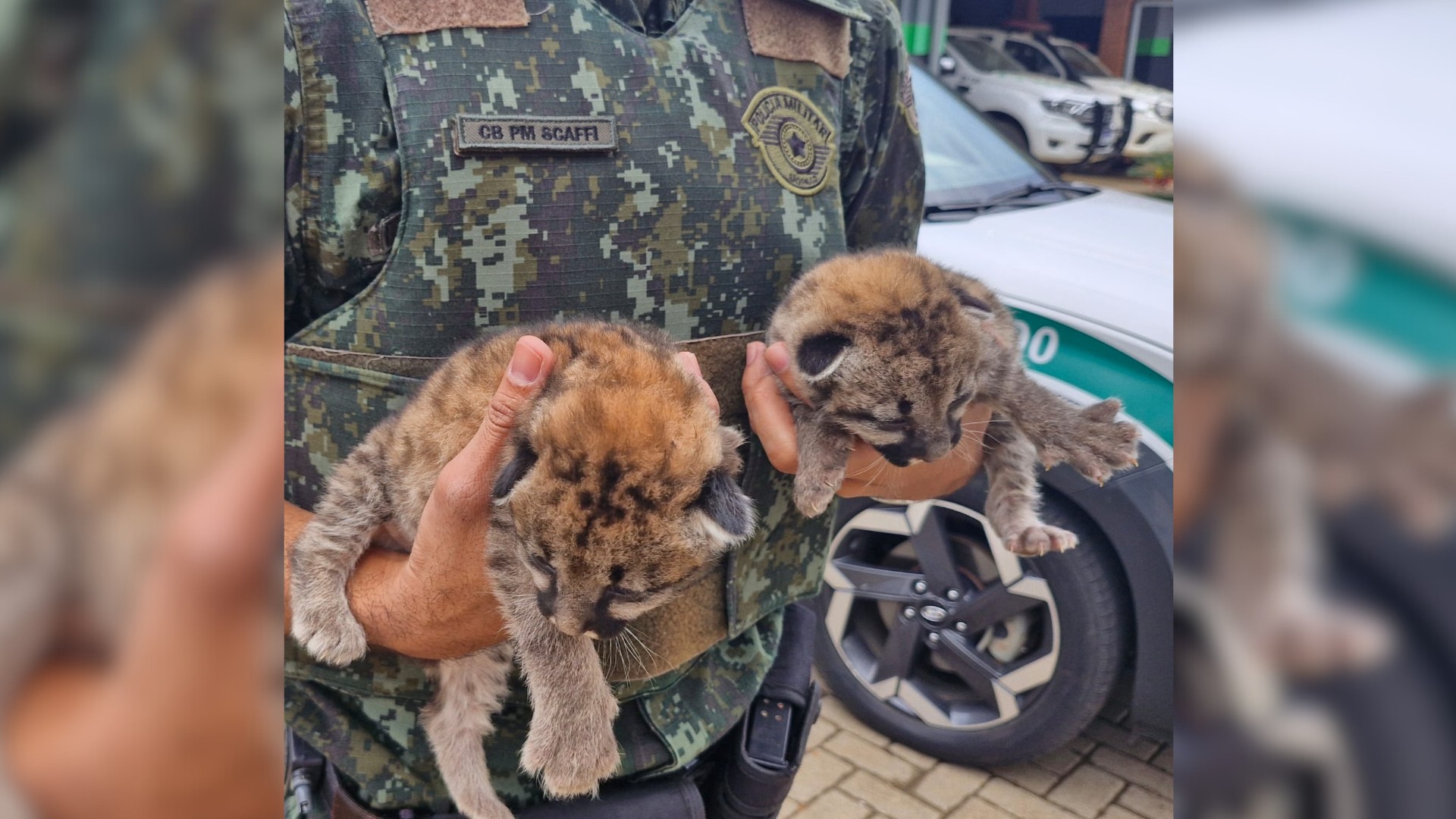 foto Notícia Boa Vista