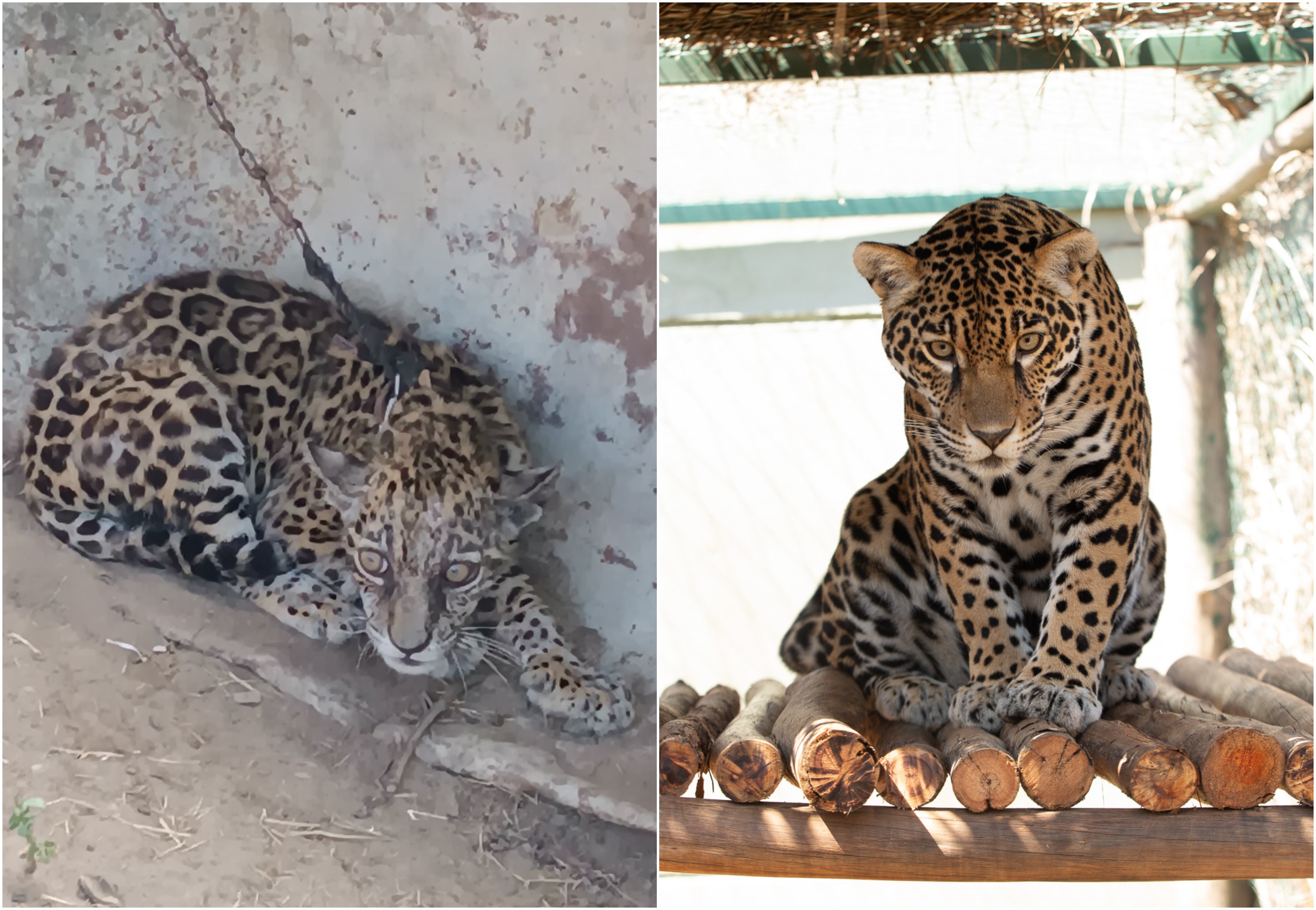 foto Not&iacute;cia Boa Vista